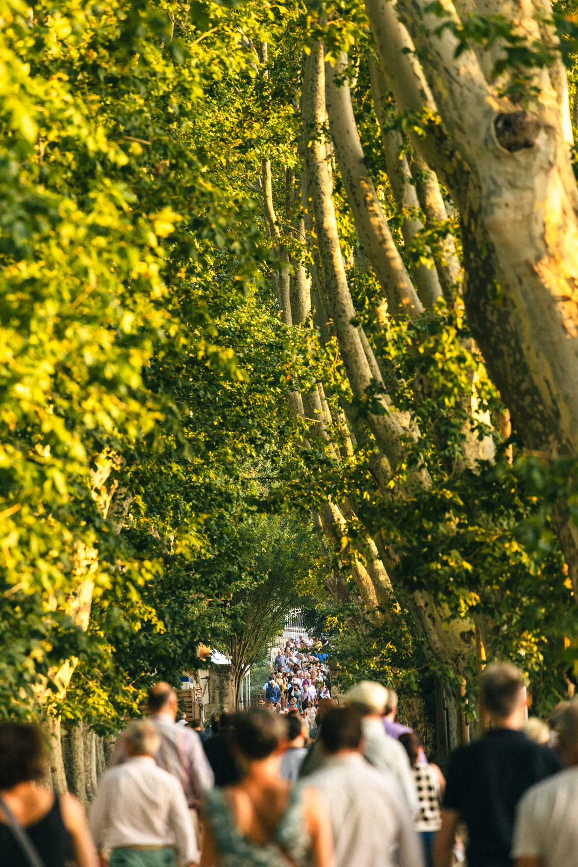 Ambiance de festival, le parc au coucher de soleil, l'arrivée du public, photographié par Valentine Chauvin au Festival de Piano de la Roque d'Anthéron en juillet 2024
