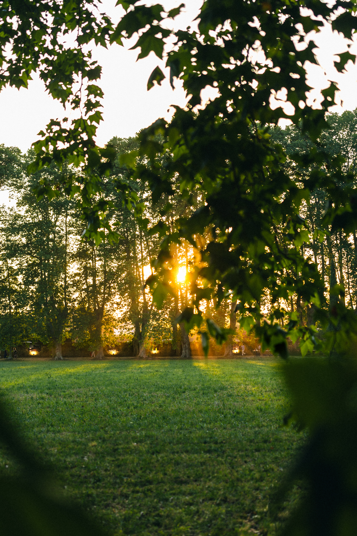 Ambiance de festival, le parc au coucher de soleil, photographié par Valentine Chauvin au Festival de Piano de la Roque d'Anthéron en juillet 2024
