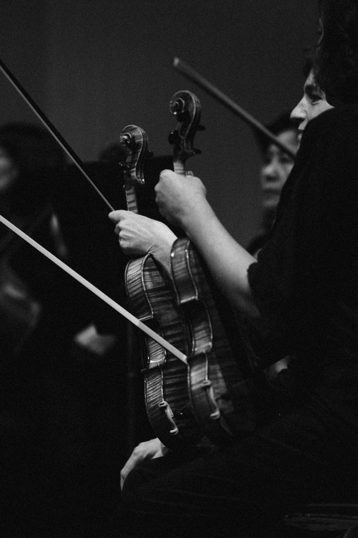Le chef Lawrence Foster à la direction de l'Orchestre Philharmonique de Marseille, photographié par Valentine Chauvin au Festival de Piano de la Roque d'Anthéron en juillet 2024