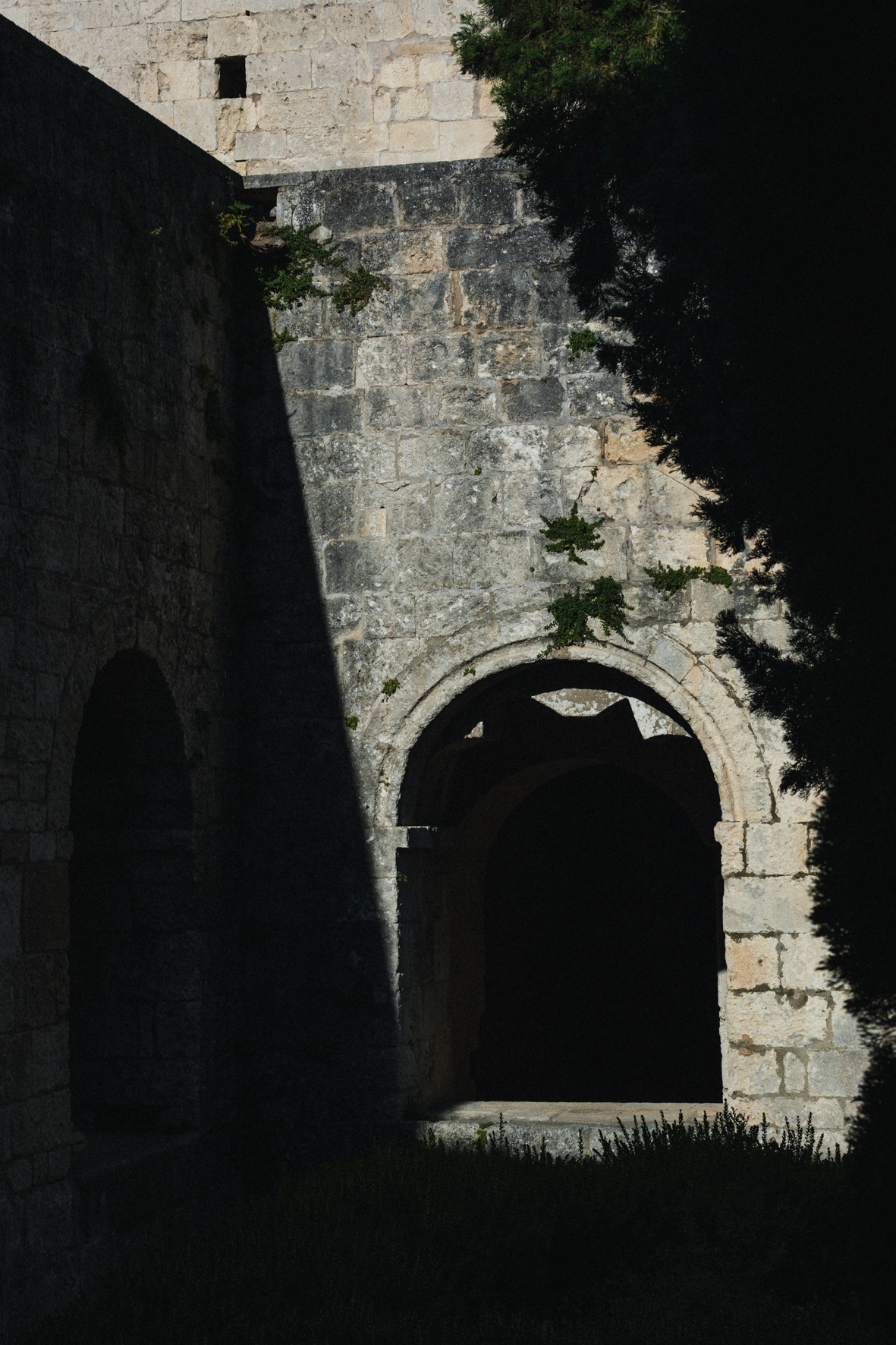 Ambiance de Festival dans le cloître de l'abbaye de Silvacane, photographié par Valentine Chauvin au Festival de Piano de la Roque d'Anthéron en juillet 2024