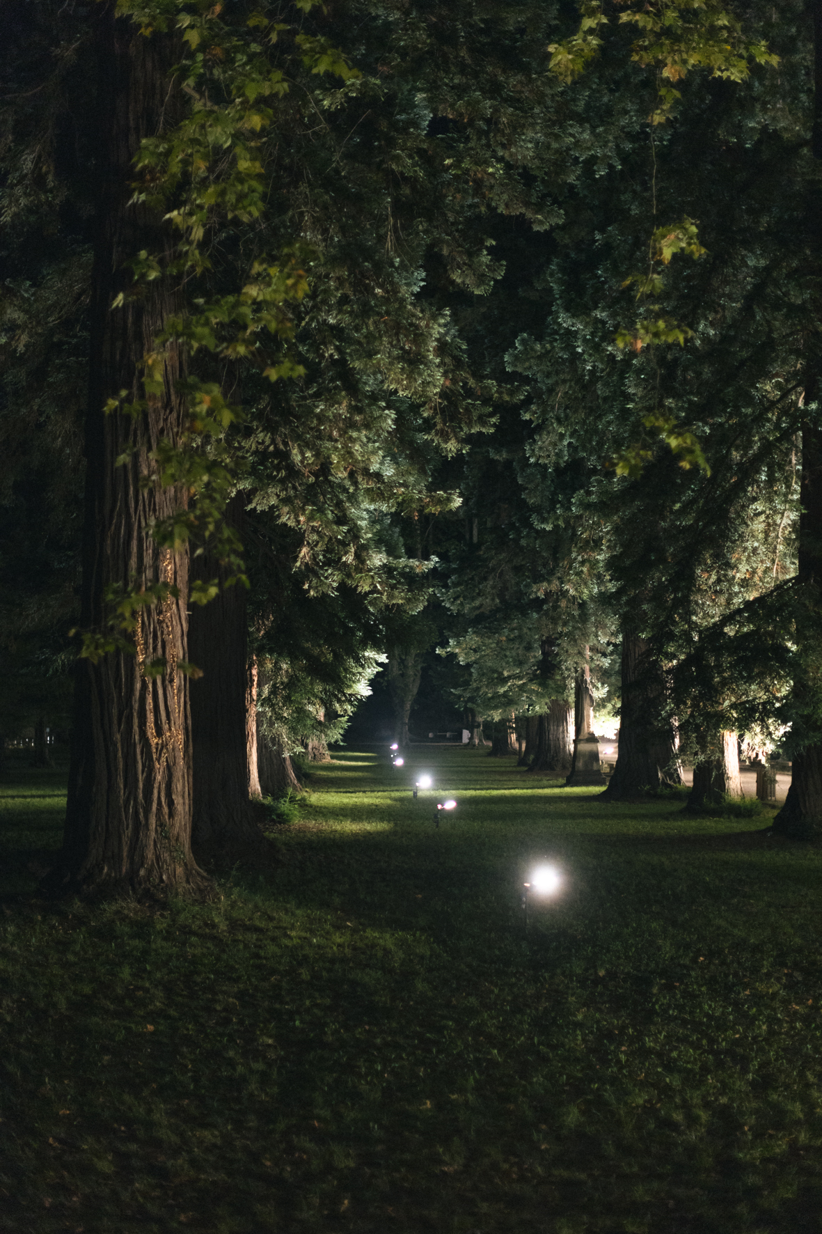 Ambiance de festival, le parc de nuit photographié par Valentine Chauvin au Festival de Piano de la Roque d'Anthéron en juillet 2024